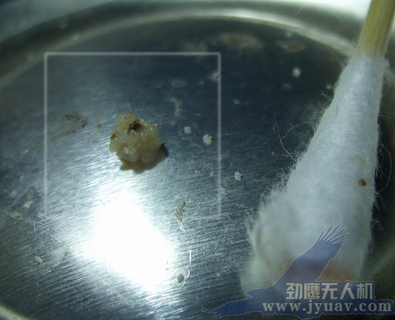 &#20061;&#28216;&#23448;&#26041;&#31449;&#32593;&#39029;&#29256;&#45;&#20061;&#28216;&#40;&#20013;&#22269;&#41;